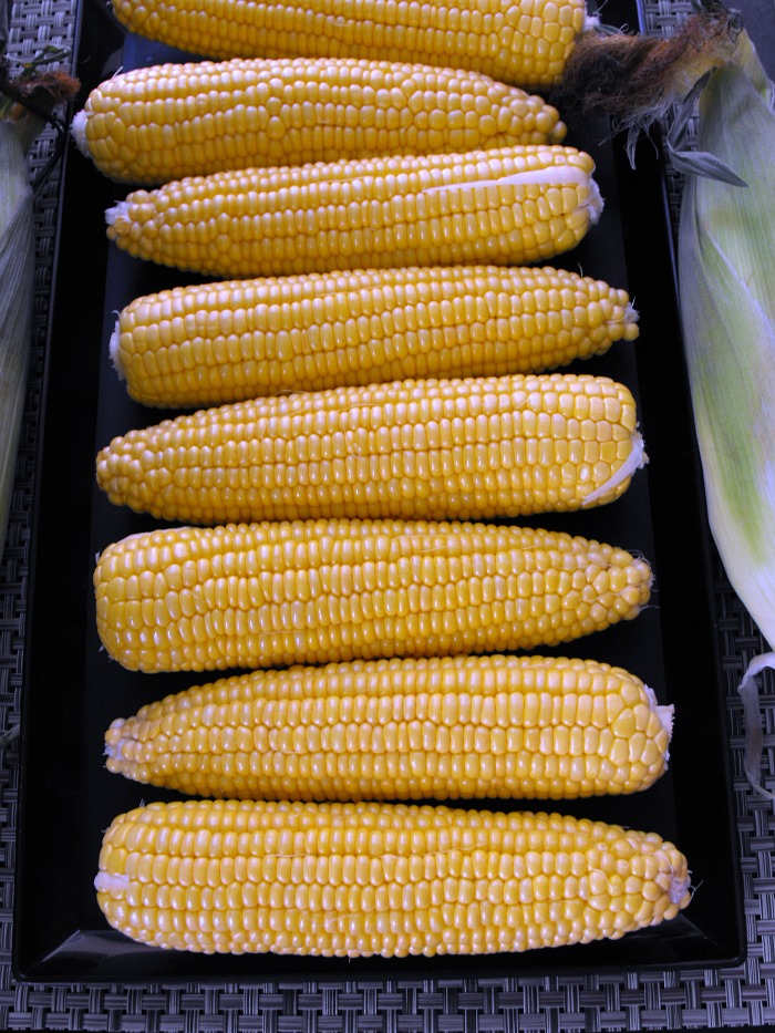 #freshfromflorida corn on the cob: enjoy it months before the rest of the USA!